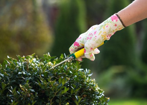 Gardeners Chislehurst introducing local outdoor care