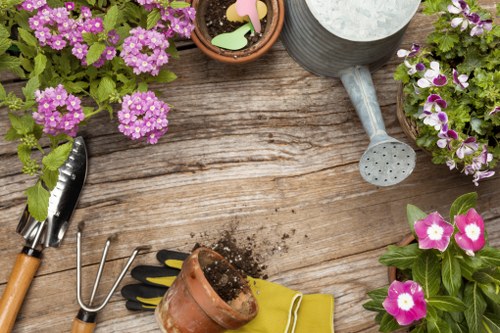 Healthy green lawn care in Chislehurst garden