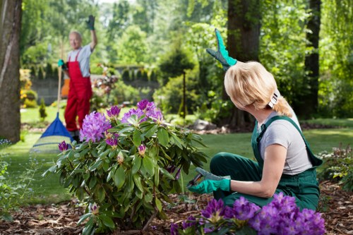 Garden grass cutting routine in Chislehurst during spring