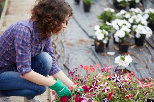 Gardening services in Chislehurst for tidy lawns and borders