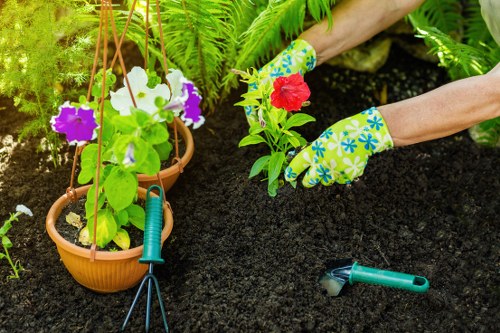 User control over cookie preferences for Chislehurst gardening services