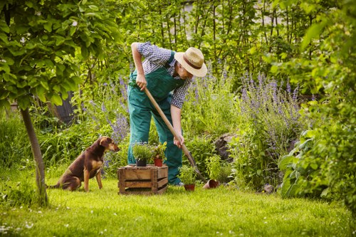 Low-maintenance landscape gardening in Chislehurst with smart outdoor design