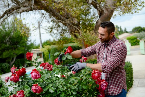 Free quote policy for local garden maintenance and clearance
