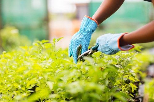 Waste disposal and governing law terms for a gardening service