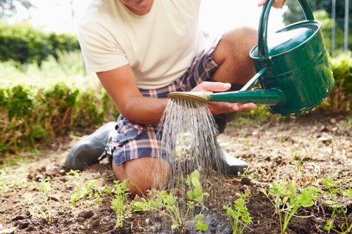 Image symbolising screen-reader friendly gardening service content