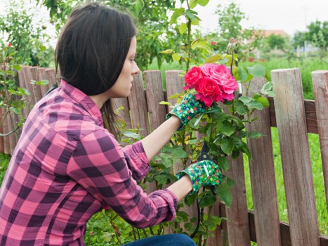 Cancellation and rebooking terms for garden maintenance