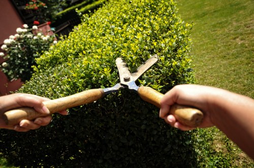 Example garden clearance jobs in Chislehurst by property type