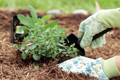 Professional Chislehurst gardeners supporting a welcoming garden