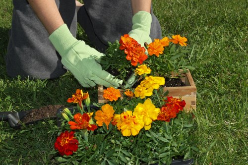 Graphic indicating accessibility request support for local gardeners
