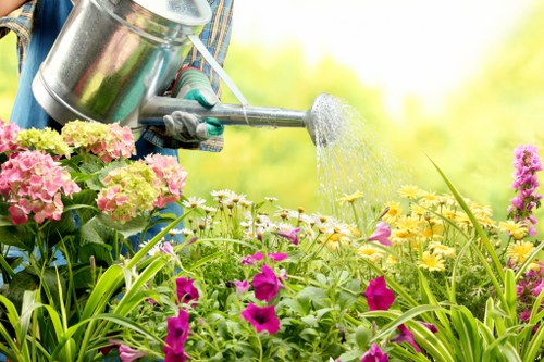 Professional patio maintenance in Chislehurst for safer outdoor surfaces