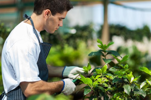 Budgeting for Chislehurst gardening services with no hidden extras