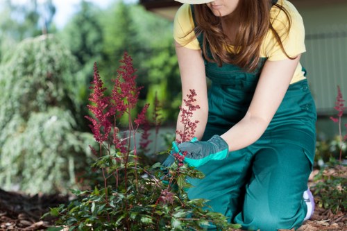 Low-carbon van used for sustainable garden waste collection