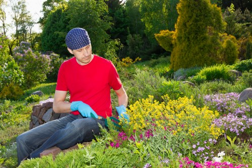 Regular hedge maintenance improving privacy and kerb appeal in Chislehurst