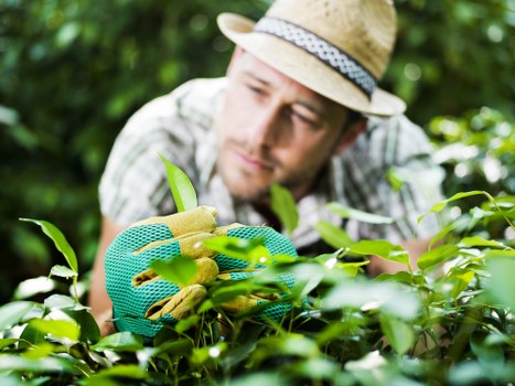Reviewing a gardening complaint in a structured way