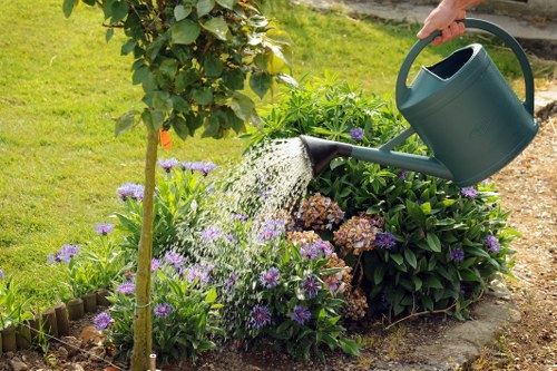 Professional hedge shaping in a leafy Chislehurst residential property