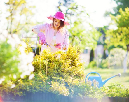Professional garden maintenance services in Chislehurst for hedges and borders