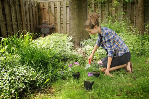 Garden zoning and pathway design in Chislehurst