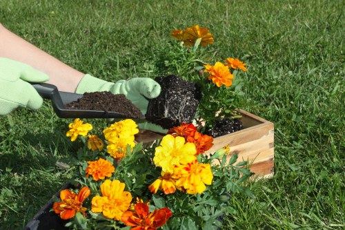 Seasonal garden care and clearance services in Chislehurst