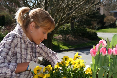 Seasonal garden maintenance in Chislehurst with leaf clearance and lawn care
