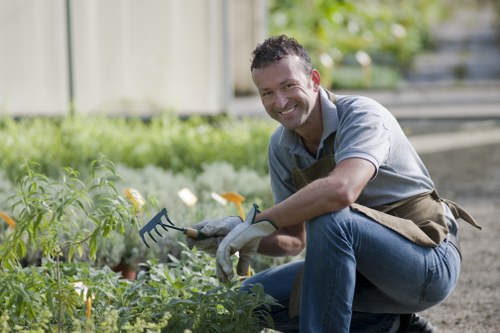 Planting and landscaping in a Chislehurst garden