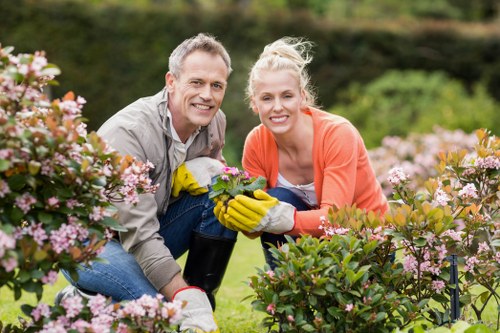 Low-maintenance planting and hard landscaping in Chislehurst