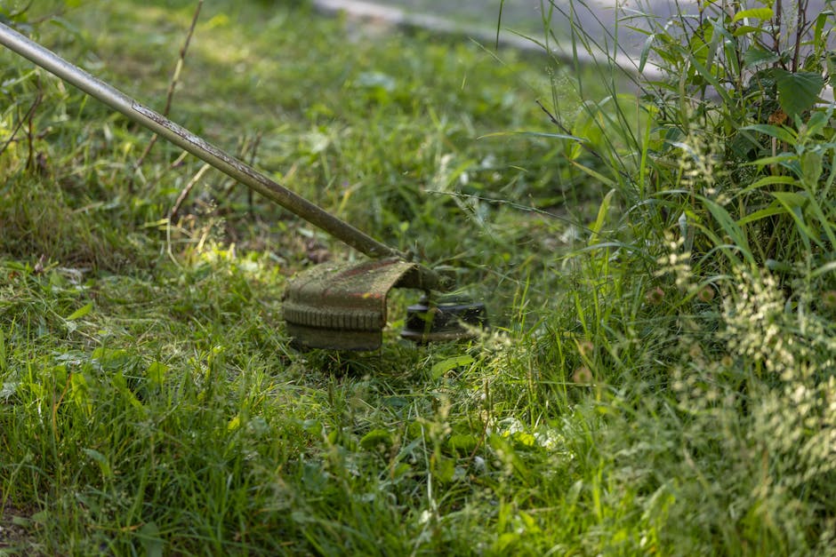 A close-up view of a garden during daytime, featuring a manually operated grass trimmer with a metal shaft and a rounded trimming head, positioned amidst lush green grass and wild plants. The garden b