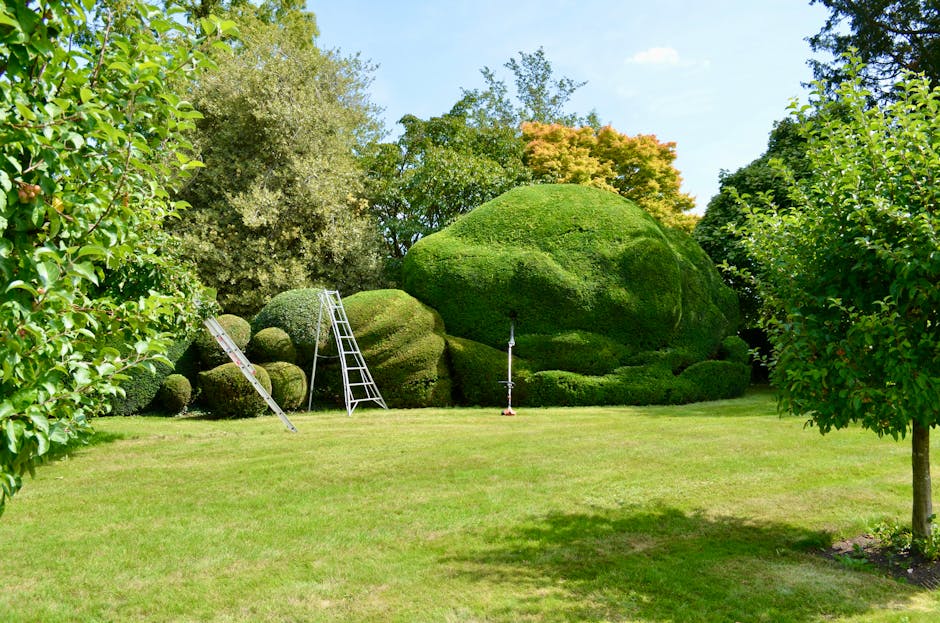 A close-up view of a garden during daytime, featuring a manually operated grass trimmer with a metal shaft and a rounded trimming head, positioned amidst lush green grass and wild plants. The garden b